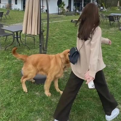 珍的不一样第二季