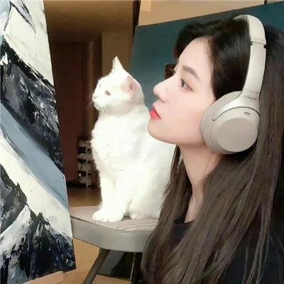 拥抱太阳的月亮