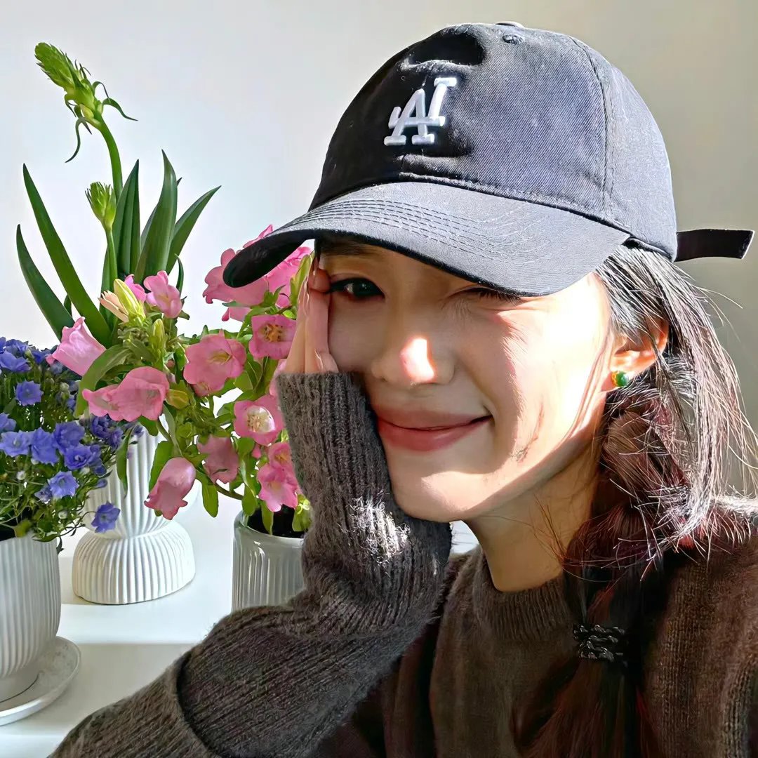 没人瞭波斯猫